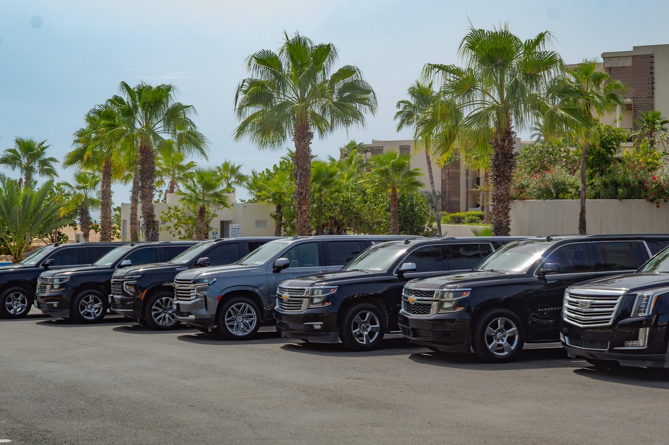 Fleet of private SUVs and vans for Los Cabos airport transportation services